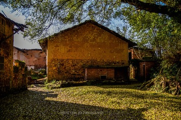 _DSC2387