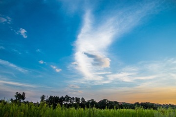 _DSC1663