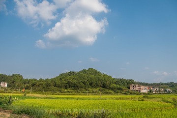 _DSC5615