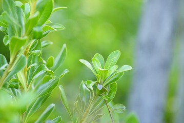 _DSC4975