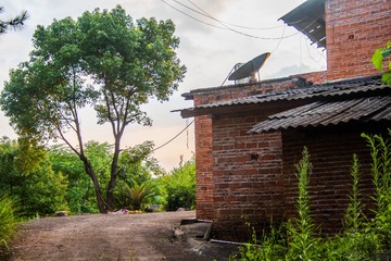 _DSC6798