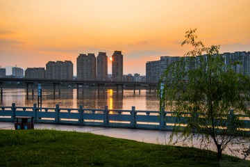 _DSC2600
