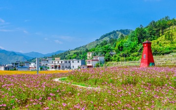 _DSC5355