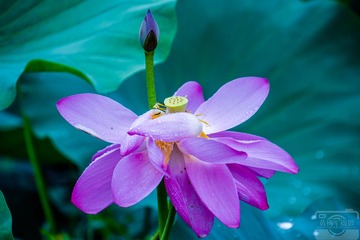 _DSC8641