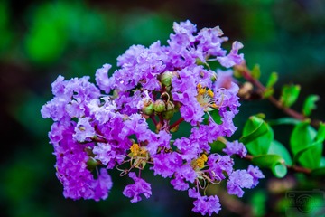 _DSC7580