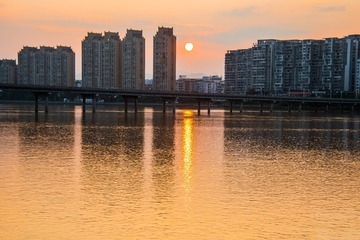 _DSC2603
