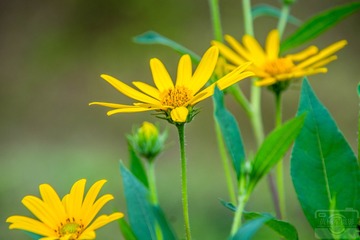 _DSC8071