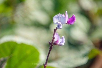 _DSC7917