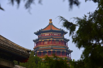 _DSC6040