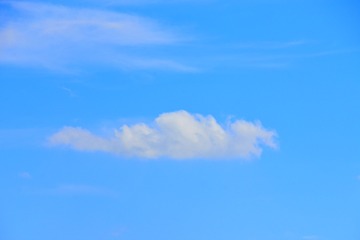 _DSC9394