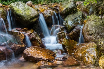 _DSC2212