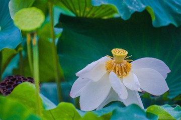 _DSC8504