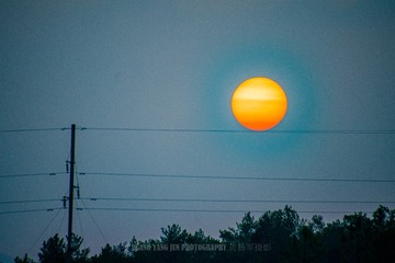 _DSC1382