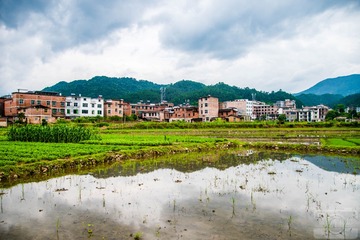_DSC1466