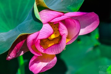 _DSC6687