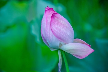 _DSC02019
