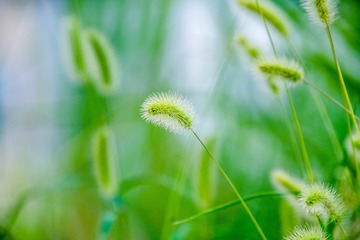 _DSC0597