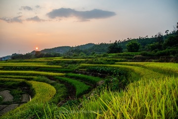 _DSC7132