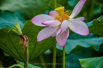 _DSC8474