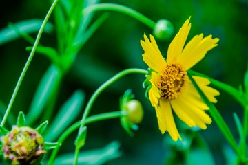 _DSC7992