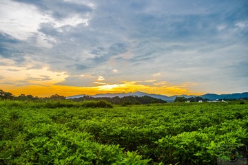 _DSC0812