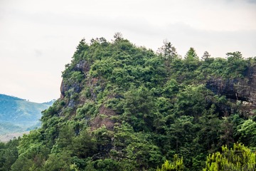 _DSC1115