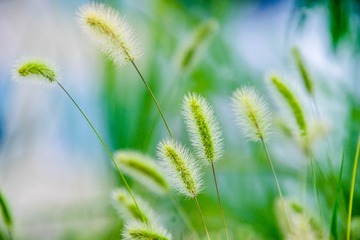 _DSC0596