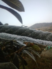 1000091251