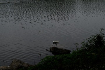 1F81D6C5-32E4-4D43-99F7-BEAFABD4C324/L0/001