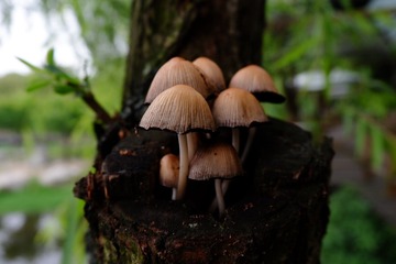 9C5A91CD-47BC-4EF4-A23B-06AAC9D6B856/L0/001
