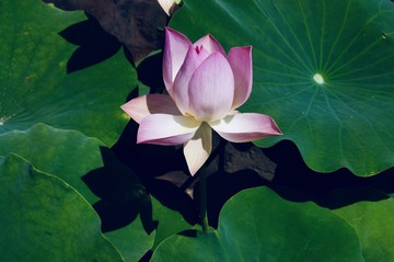 001