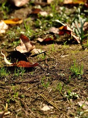 _DSC0152