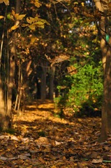 _DSC0171