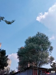 3160079