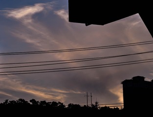 1000066838