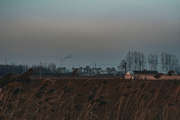 1000169649