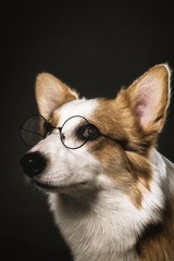 6465