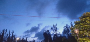 3301673
