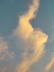 1000056129