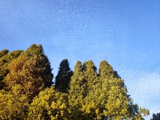 1000054912