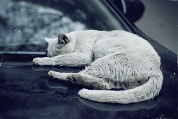 DSC_0583.jpg