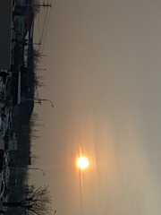 1000088303