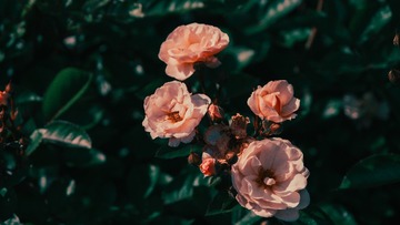 105051