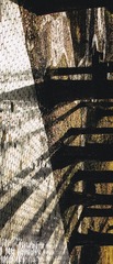 1000160925