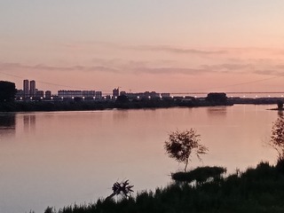3545284