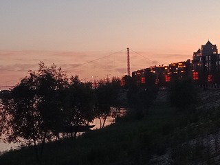 3545291
