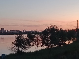 3545290