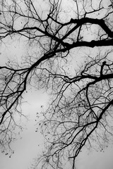 IMG_0001_2