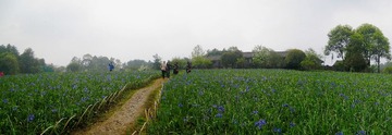未标题_全景图
