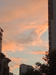 514